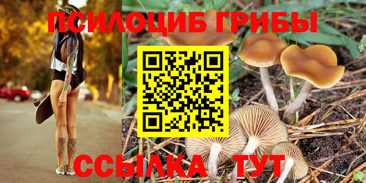 Галлюциногенные грибы Cubensis  Вход с VPN  Нурлат  Псилоцибиновые грибы GOLDEN TEACHER 